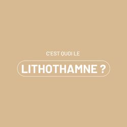 Le Lithothamne (Lithothamnium calcareum) est une petite algue rouge marine de 2 cm. 🌊

Elle possède
des branches ramifiées constituées de calcaire ressemblant à du corail. A ces ramifications, se fixent
des éléments minéraux et oligo-éléments captés dans l’eau de mer. C’est pourquoi, cette algue est
particulièrement riche en carbonates de calcium et magnésium et autres minéraux et oligo-éléments.
Elle contient entre 30 et 35 % de calcium et 3 % de magnésium.

Le lithothamne aide à la reminéralisation osseuse et à réguler l'acidité gastrique de votre cheval 🐎 

Découvrez en plus sur notre site 💊✨

#algue #lithothamne #minéraux #oligoelements #calcium #magnesium