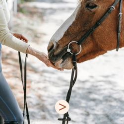 La sérénité du cheval passe aussi par l'alimentation ! Découvrez les aliments qui contribuent au bien-être de votre cheval 🐎✨