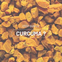 Découvrez les nombreuses vertues du Curcuma, présent dans notre gamme de
compléments alimentaires pour le bien-être de vos chevaux 🐎✨💊